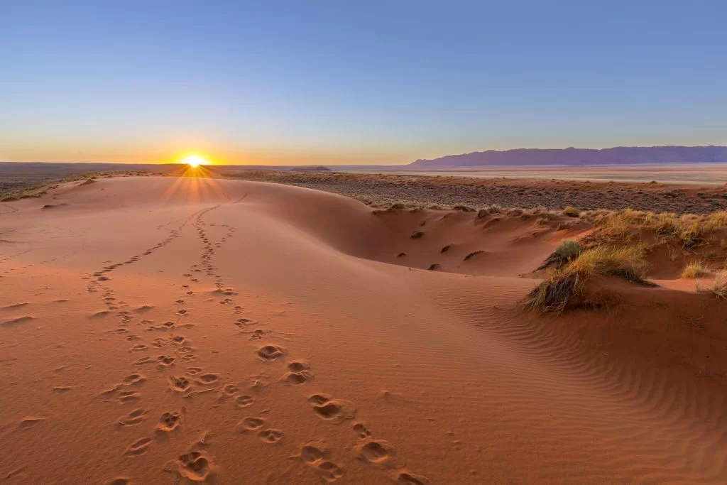 Desert du Kalahari