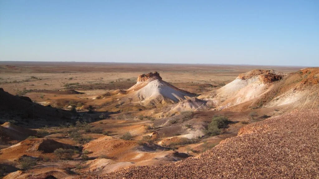 cover desert tanami