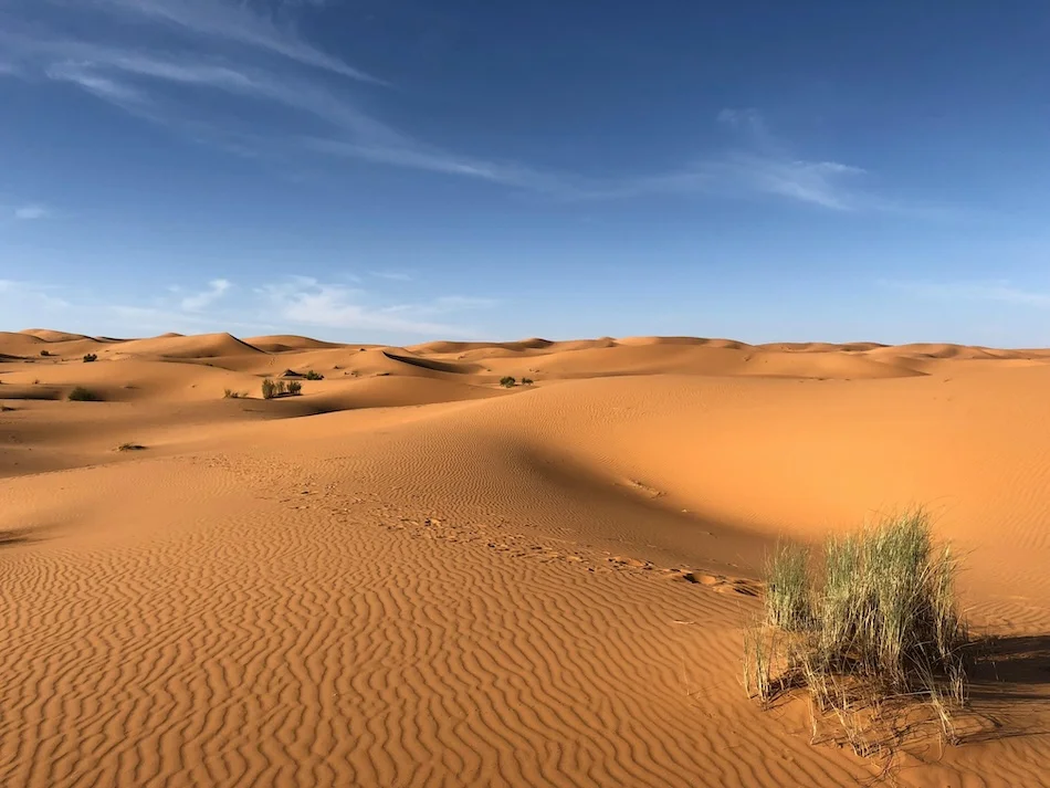 desert sahara dunes