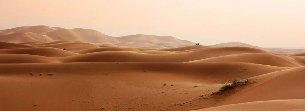 Panoramique desert tunisien (head)